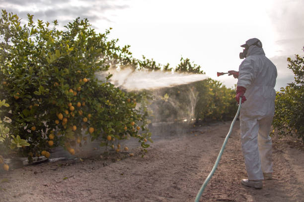 Best Commercial Pest Control Services  in Lewisburg, WV