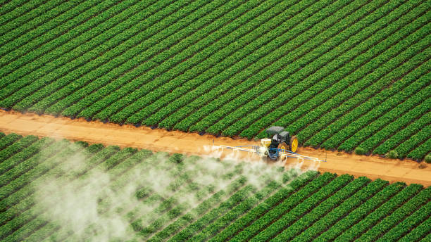 Best Commercial Pest Control Services  in Lewisburg, WV